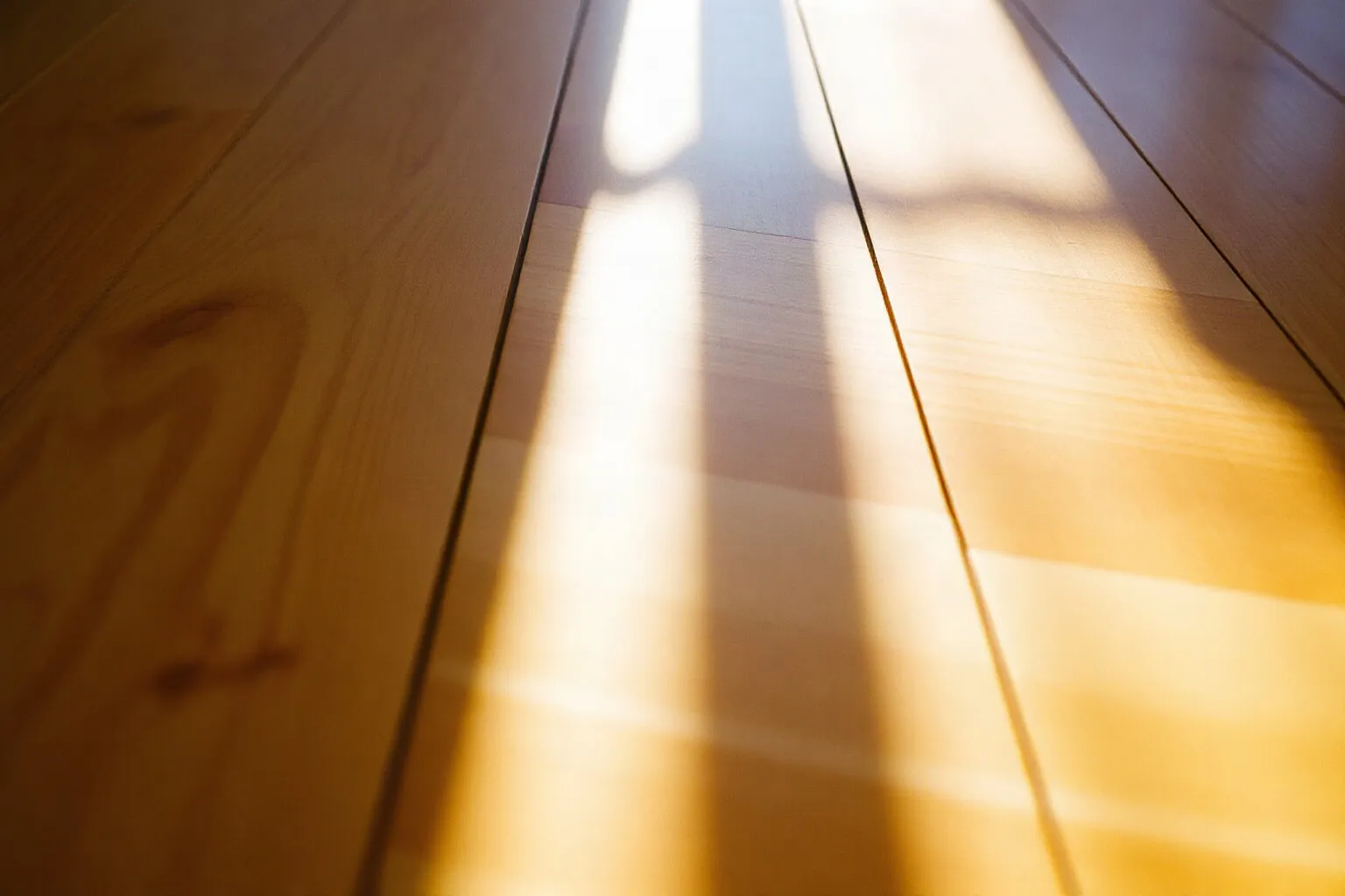 Striscia di sole su un parquet a tavole larghe