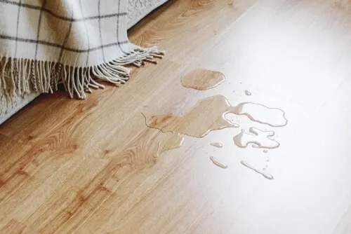 Immagine di un parquet bagnato, una situazione che può causare danni al pavimento se non trattata correttamente.